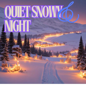 Quiet snowy night