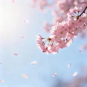 春日告白信 (甜系青春，好记)