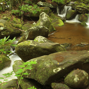 遇见她 如春水映梨花