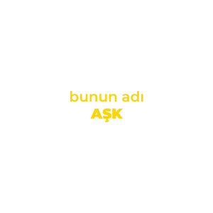 Bunun Adı Aşk