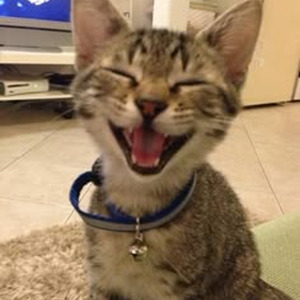 Witchblades (slowed)