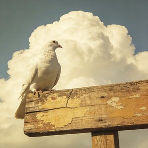 牌匾(Prod by 4HMusic)