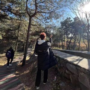 快意人生Prodby牙刷