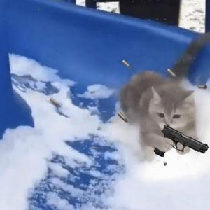 Snow