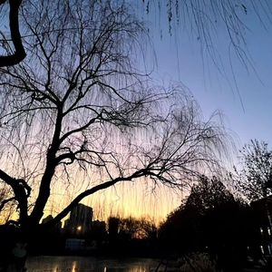 我们本是平行线