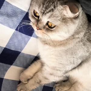 猎人一样主动出击