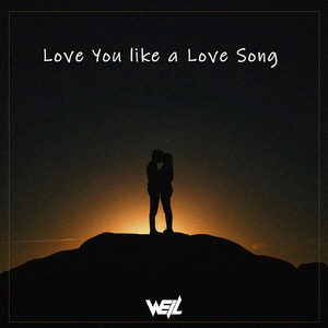 Love You like a Love Song (Well威尔 remix）