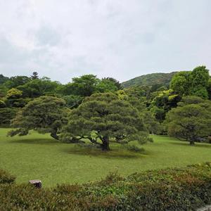心に宿る神神(曼荼羅神響歌成心)