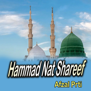 Hammad Nat Shareef