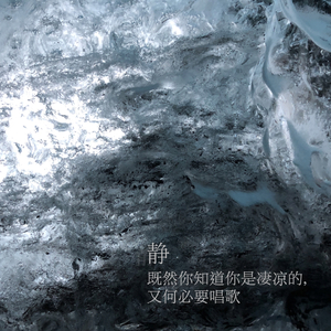 既然你知道你是凄凉的，又何必要唱歌