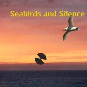 Seabirds and Silence