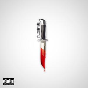 MÁFIA FREESTYLE (feat. SoKoS)