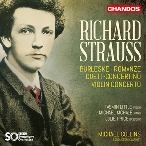 Duet-Concertino, TrV 293: II. Andante