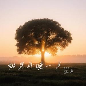 如果再晚一点遇见你