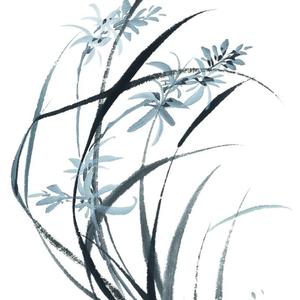 花枝春野（Cover 不才）