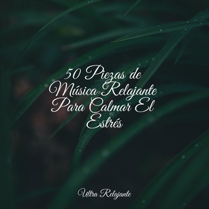 Golpear Una Nota