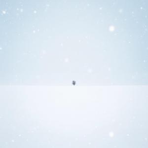 Winter Stillness (Silent Snow)