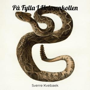 På Fylla I Holmenkollen