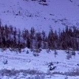 鸳鸯戏（纯音乐）