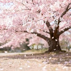 爱的可能 (Cover 梦境里的算法)