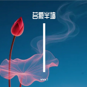 苔痕半墙