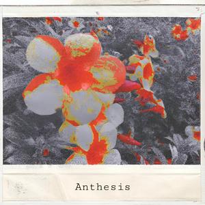 Anthesis