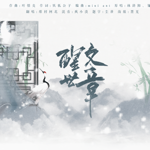 醒世文章（Cover 林斜阳 / 嫌弃）