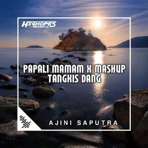 DJ PAPALI MAMAM X MASHUP TANGKIS DANG