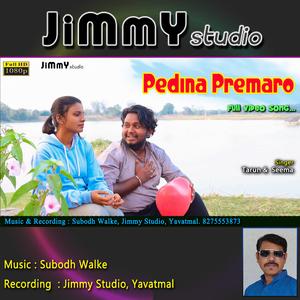 Pedina Premaro (feat. Subodh Walke & Tarun Naitam)