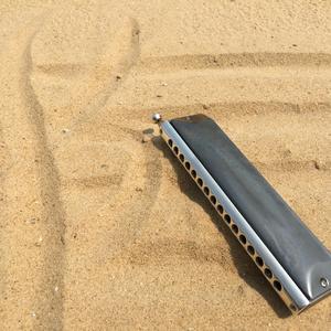 爱尔兰画眉 口琴版