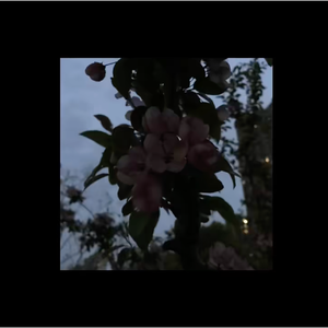 速度七十迈part1.