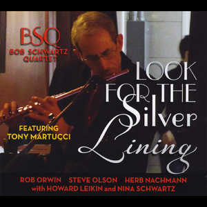 Look for the Silver Lining (feat. Tony Martucci, Nina Schwartz, Howard Leikin, Herb Nachmann, Rob Orwin & Steve Olson)