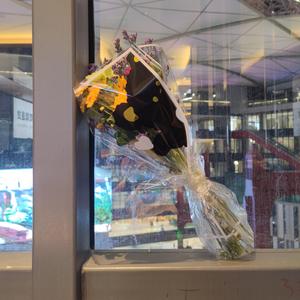 Pony wants to save the world