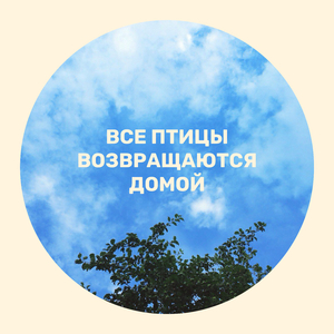 Все птицы возвращаются домой