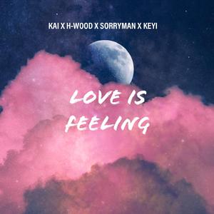love is a feeling