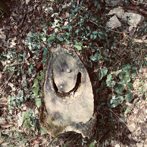 SATORI (feat. 青い鳥)