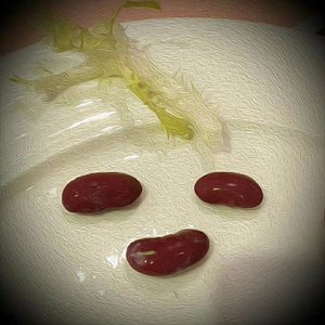 你是我最后说话的地方