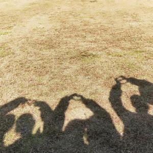 【博君一肖】陈述爱情