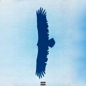 西北雪莲freestyle