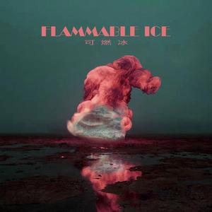 白山茶（翻自 陈雪凝）