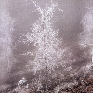 вечная петля