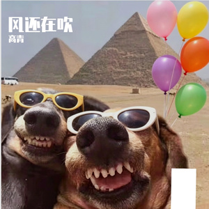 风还在吹