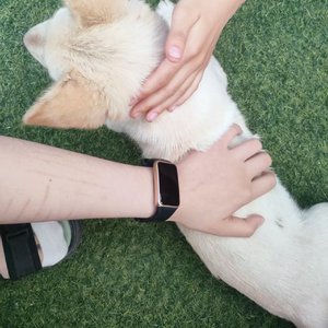 拉勾亿百年