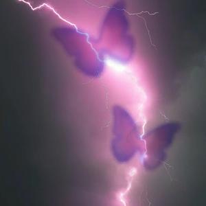 起风了 (DJ完整版）