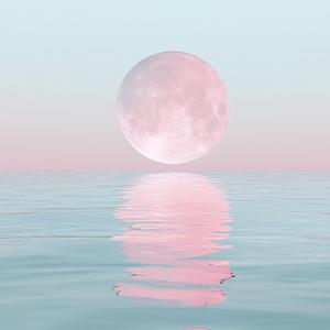 騷靈情歌・凌晨三點聽的歌｜#貳