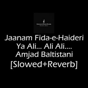 Jaanam Fida-E-Haideri