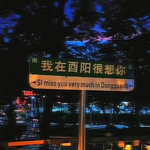 十年人间(DJ轩迪版)