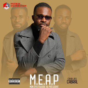 Mon Épistolaire Au Président