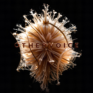 Setting Sun (Golden Hour Mix - Extended)