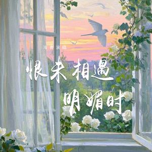 恨未相遇明媚时